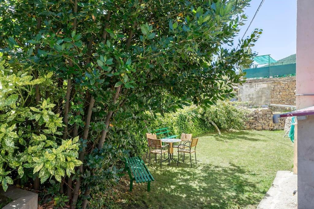 Apartment Casa Feli - Con Jardin Privado En Pirineos Castiello de Jaca
