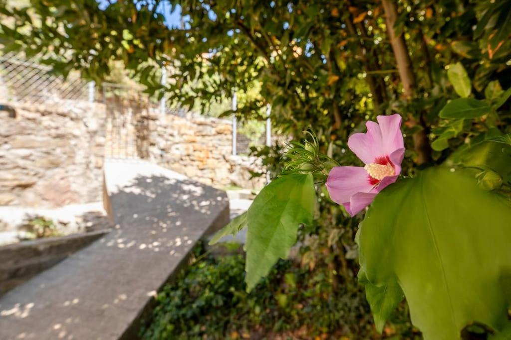 Casa Feli - Con Jardin Privado En Pirineos Castiello de Jaca